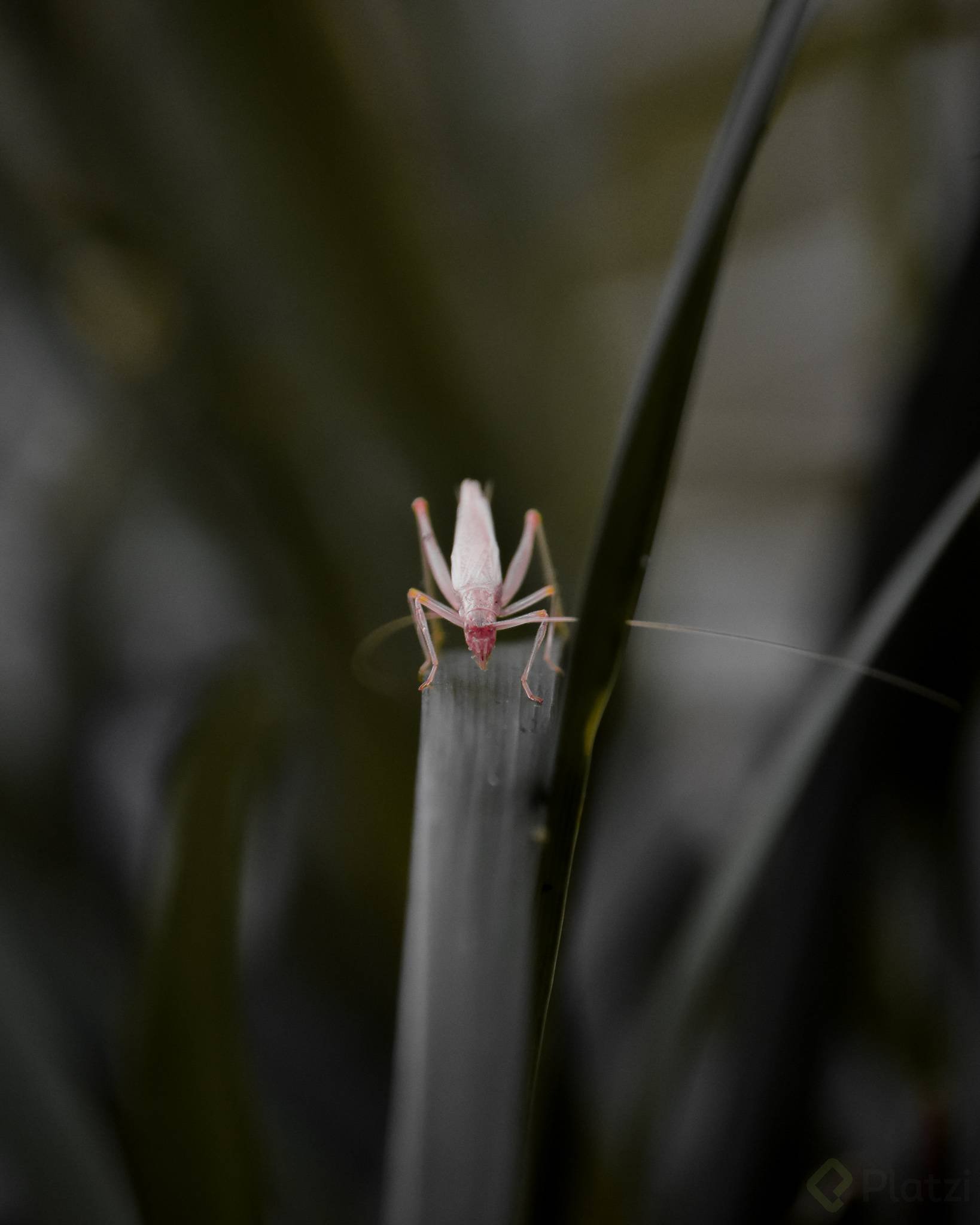 DSC_0834.jpg