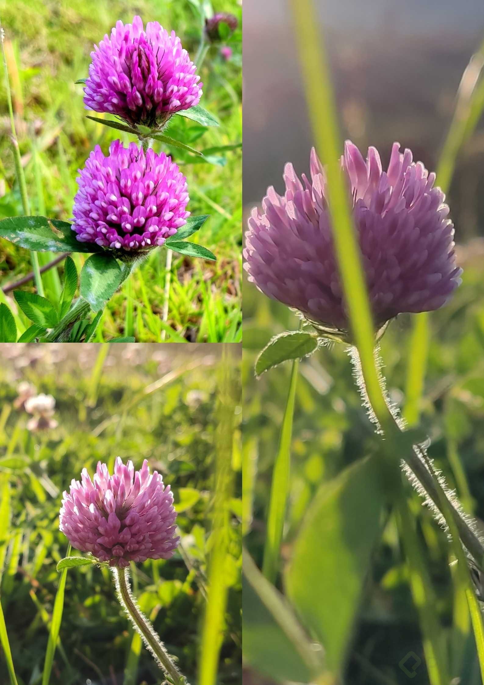 Diseño sin título2.jpg