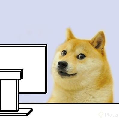 Doge Hacker.jpg