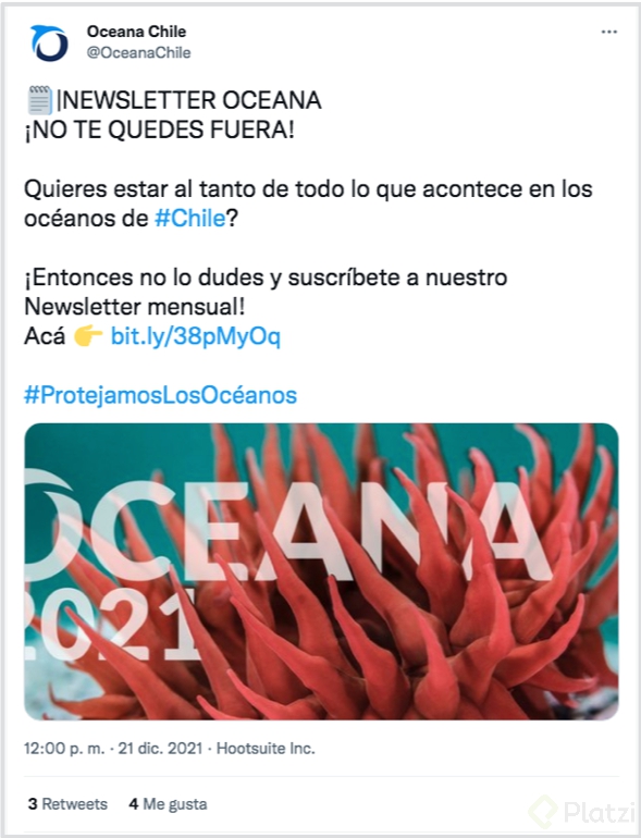 Ejemplo 5 - Circularidad de medios - newsletter.png