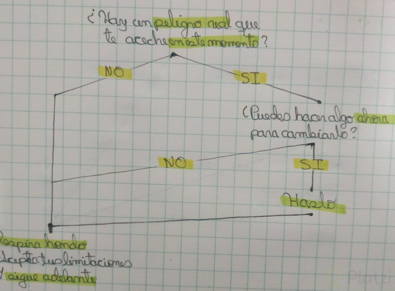 Esquema de reacción a la anciedad.jpg