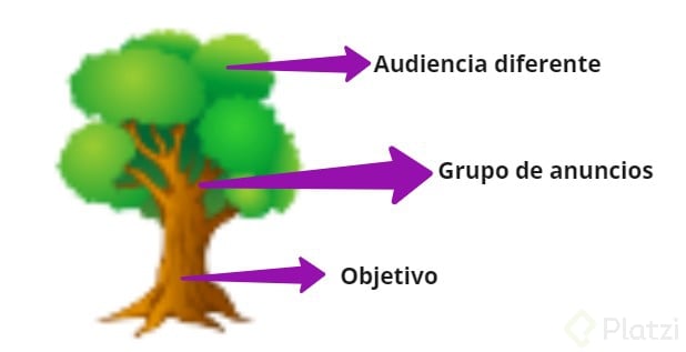 Estructura de campaÃ±a.jpg