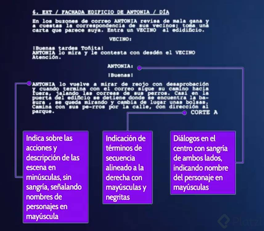 Estructura guion 1.png