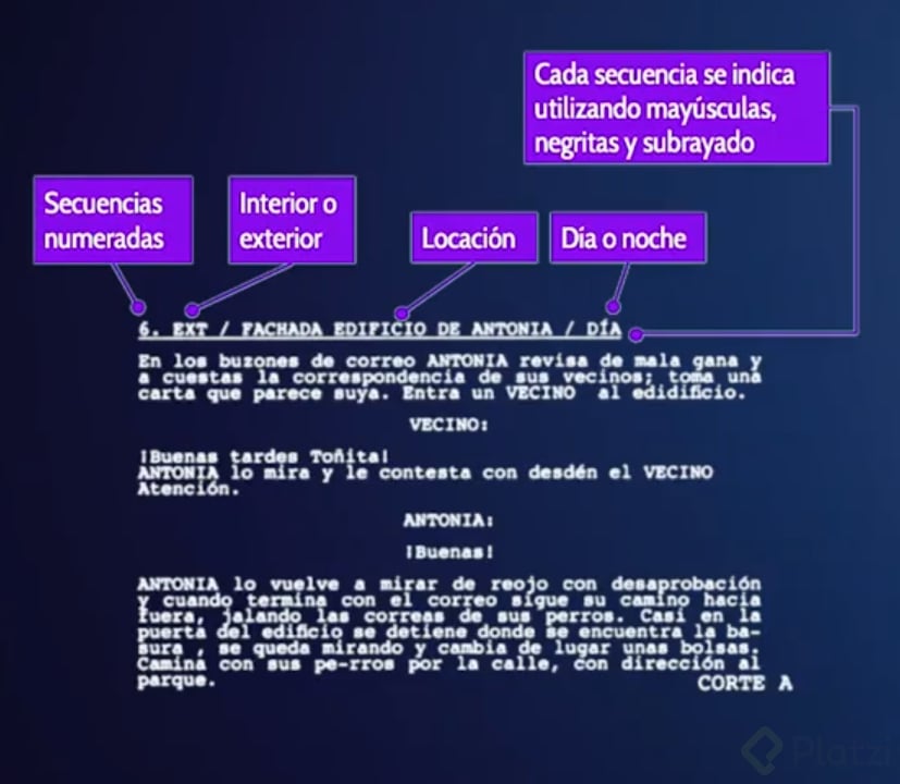 Estructura guion 2.png