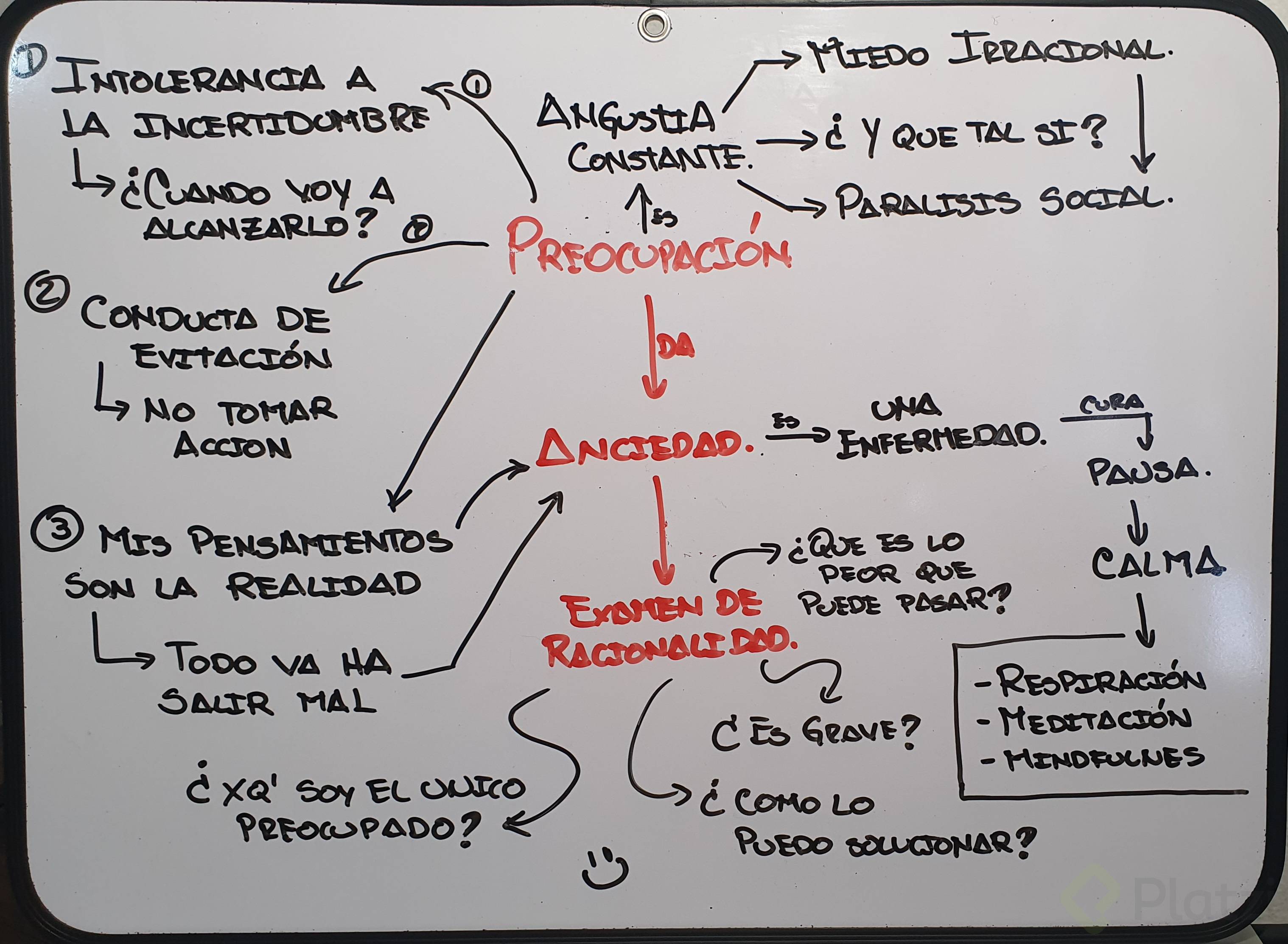 Evolucion de la preocupación.jpg