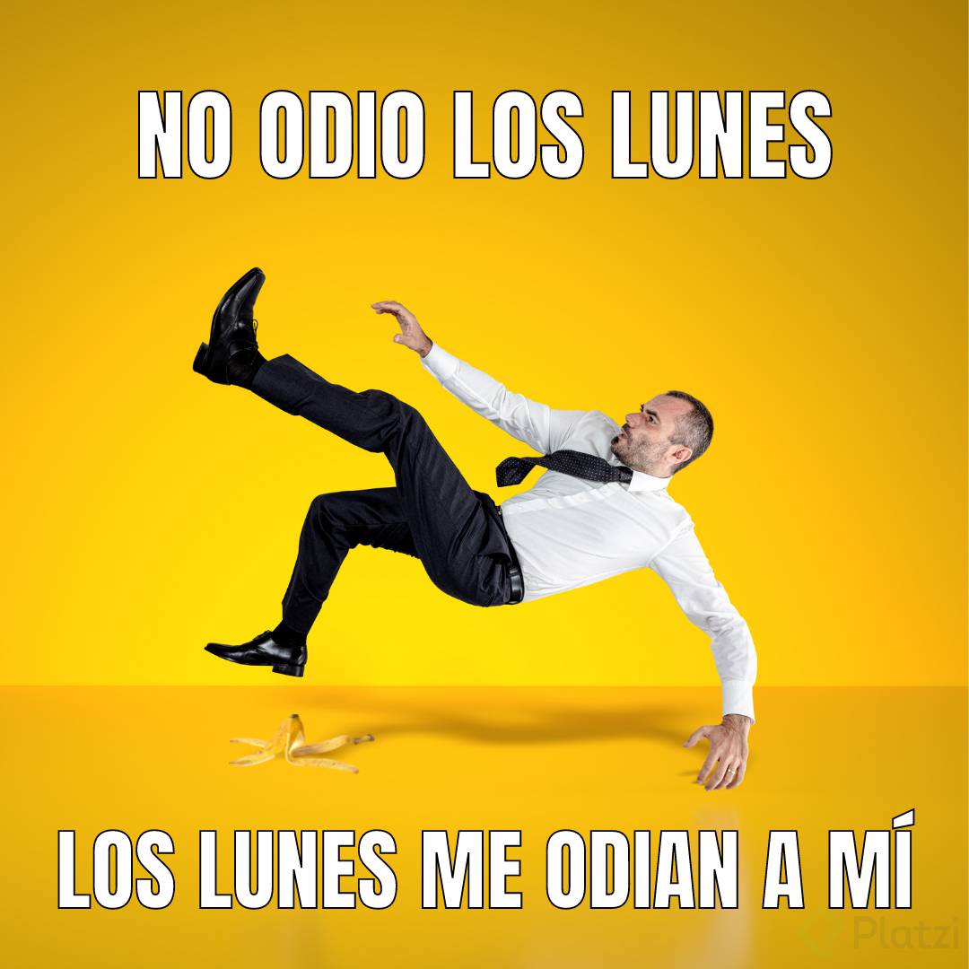 Feliz Gato Dos Fotos con Texto Meme.png