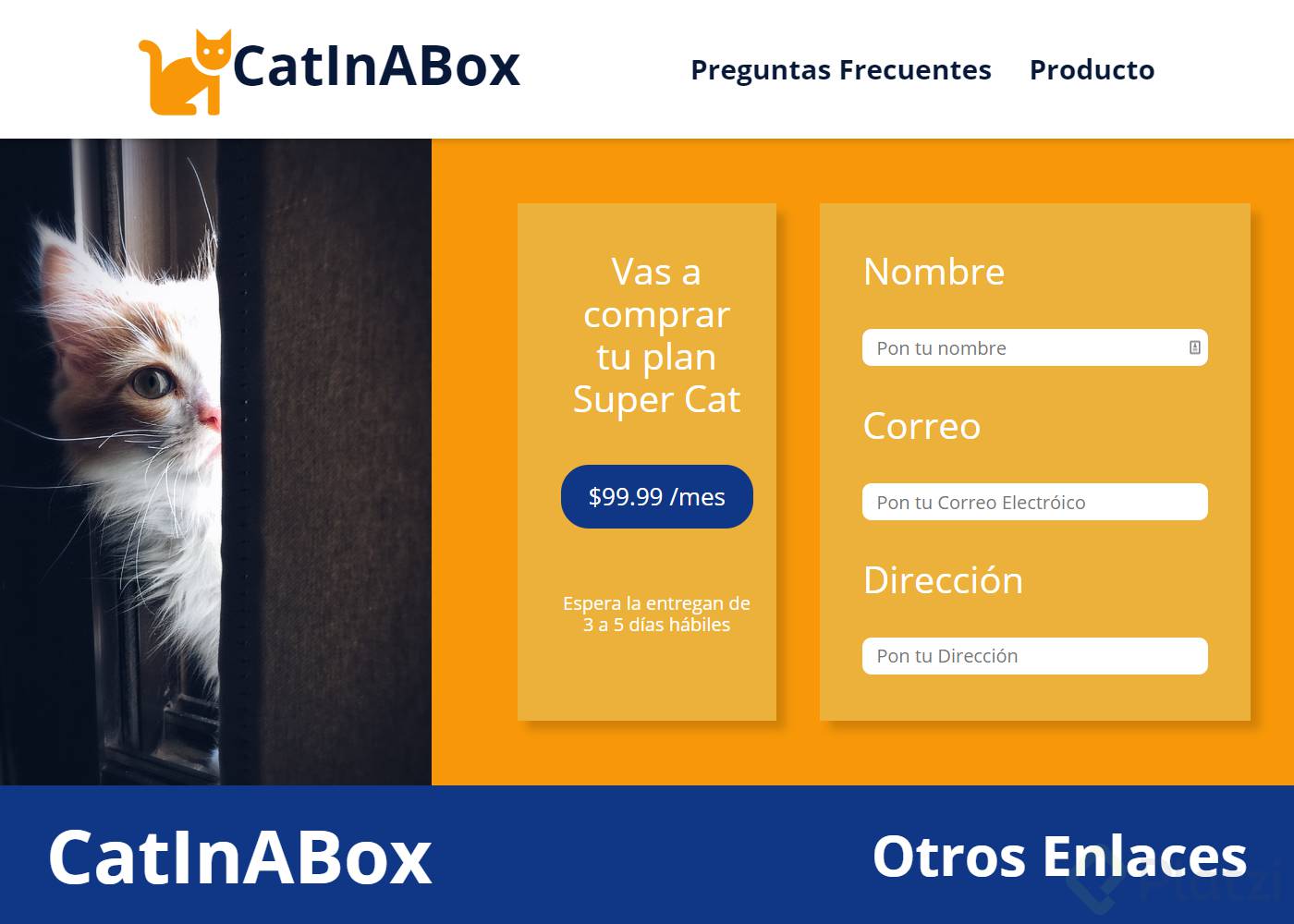 FireShot Capture 027 - CatInABox - 127.0.0.1.png