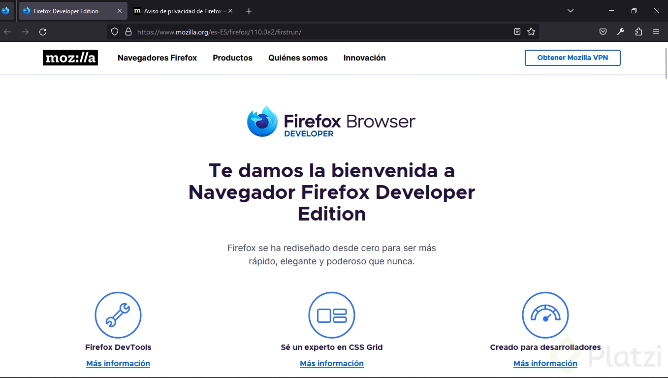 Firefox dev.png