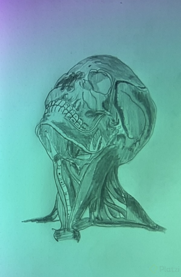 Foto el 05-07-22 a la(s) 0.07 #2.jpg