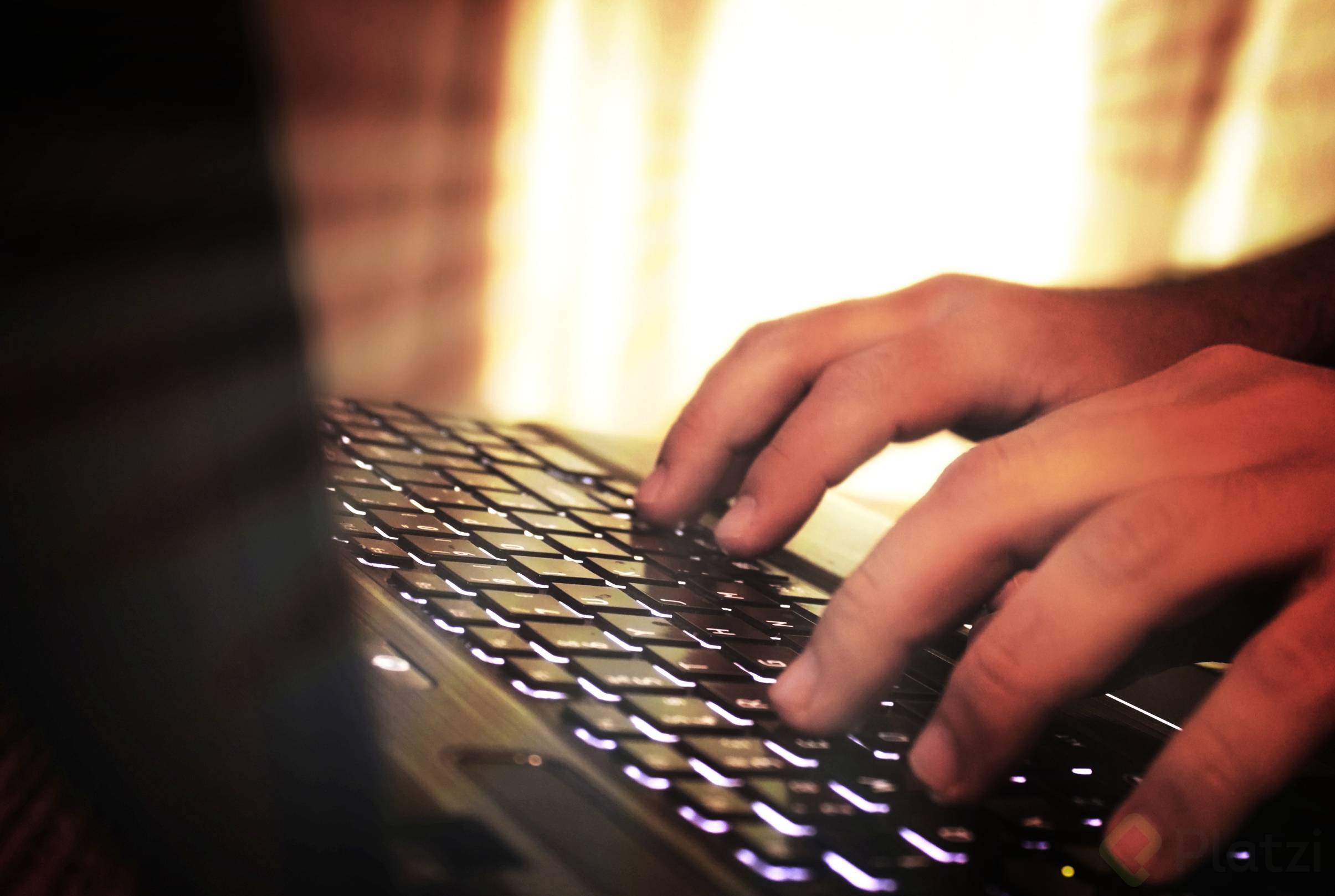 Hands_typing_on_laptop_keyboard_-_fuzzy_looks.jpg
