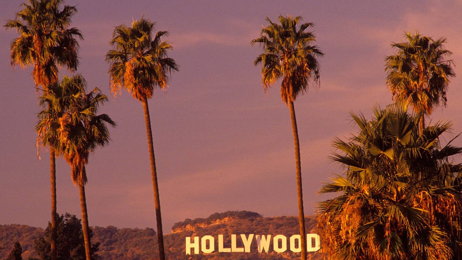 Hollywood.jpg