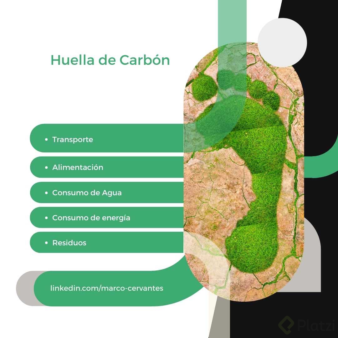 Huella de Carbón.jpg