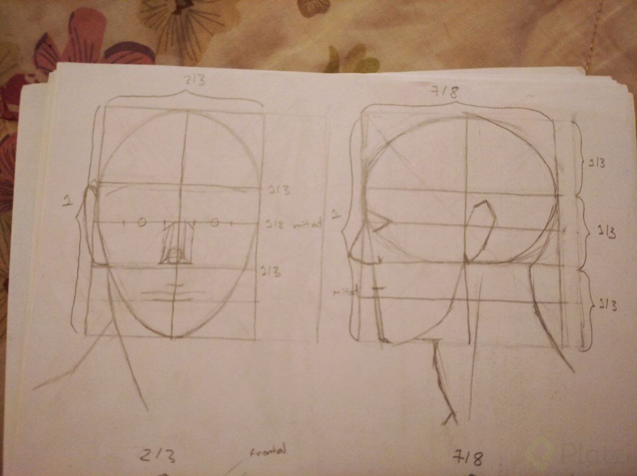 IMAGE 2021-11-24 12:20:34.jpg