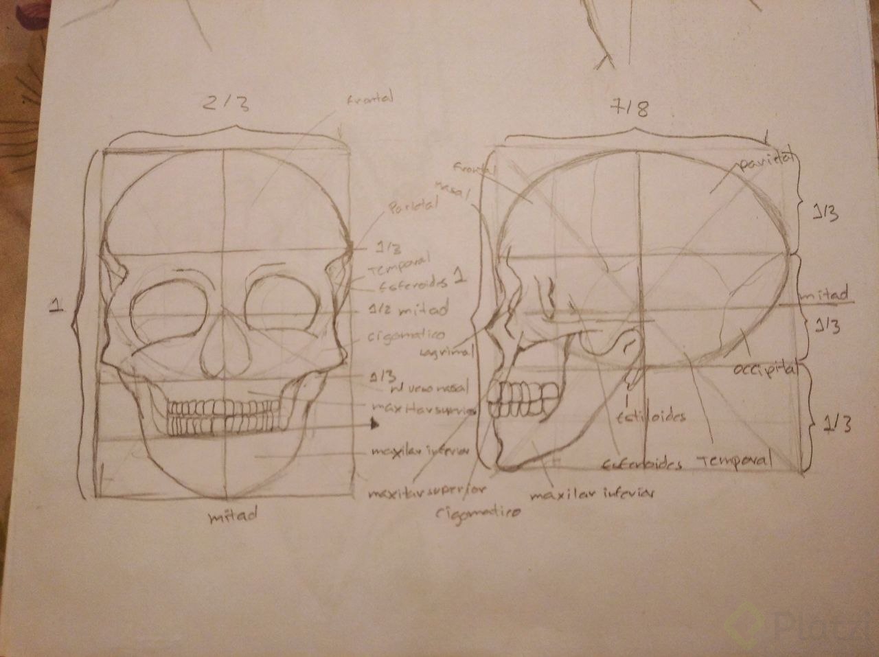 IMAGE 2021-11-24 12:21:54.jpg