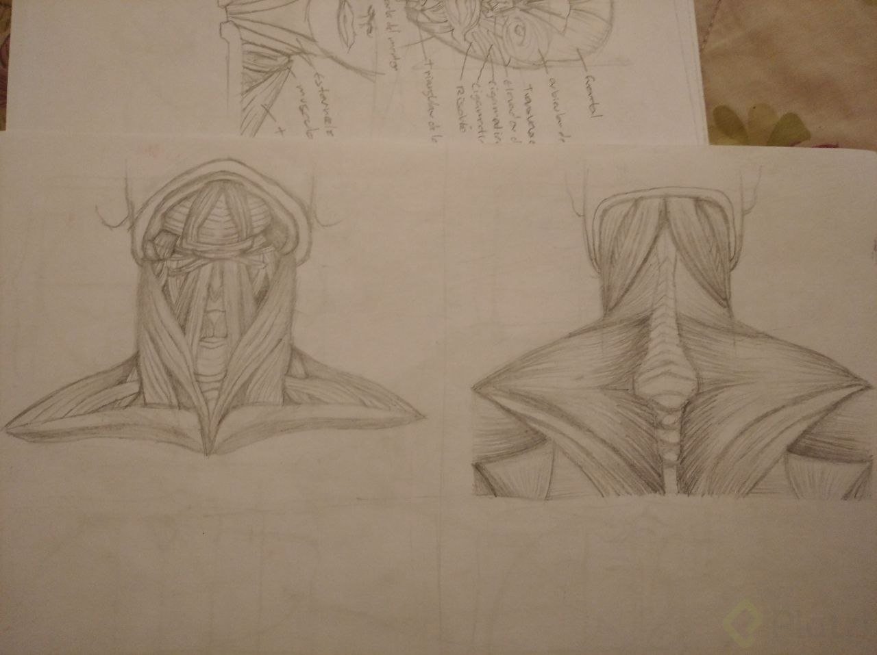 IMAGE 2021-11-24 12:24:46.jpg