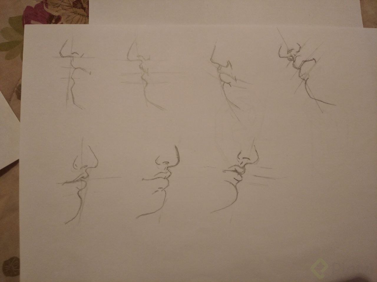 IMAGE 2021-11-24 12:27:38.jpg