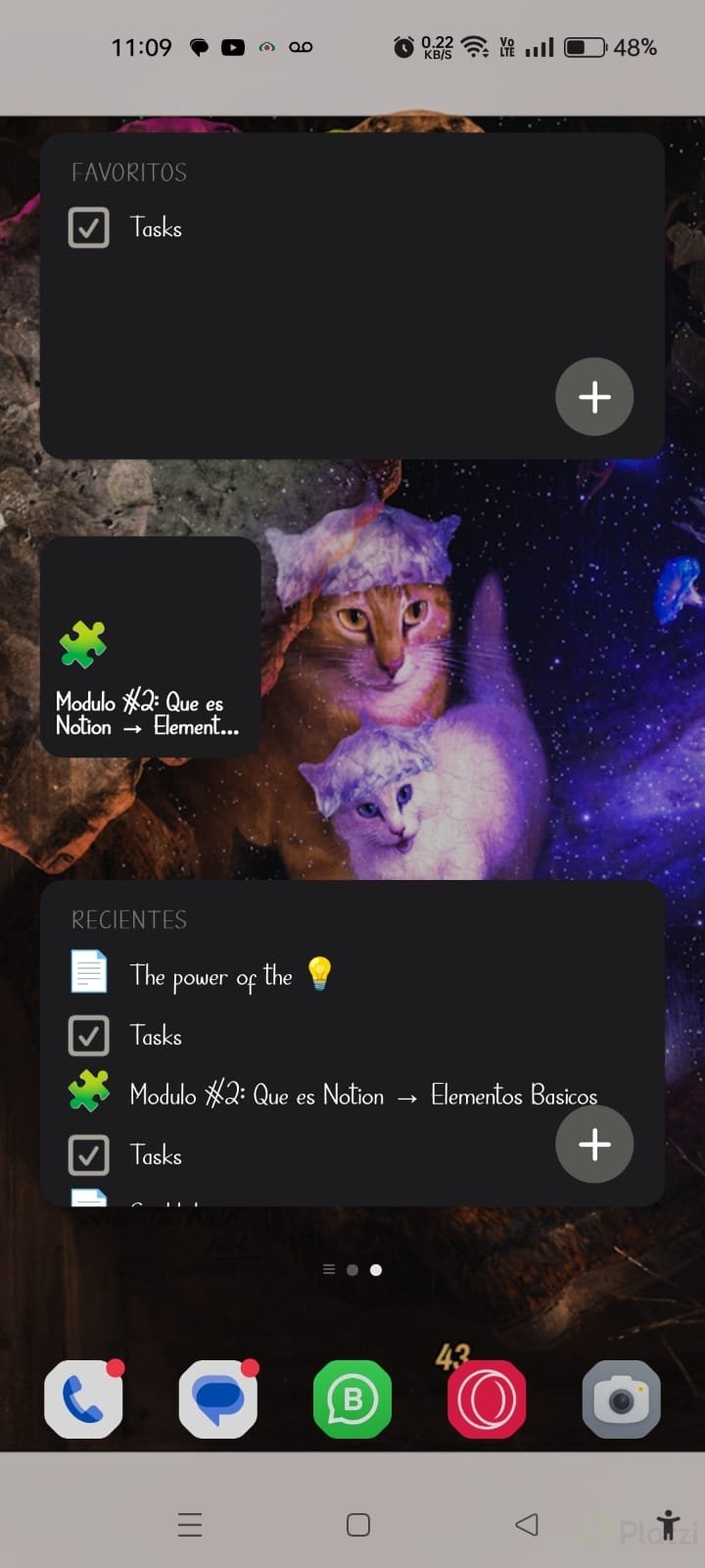 Imagen de WhatsApp 2023-05-30 a las 23.09.47.jpg