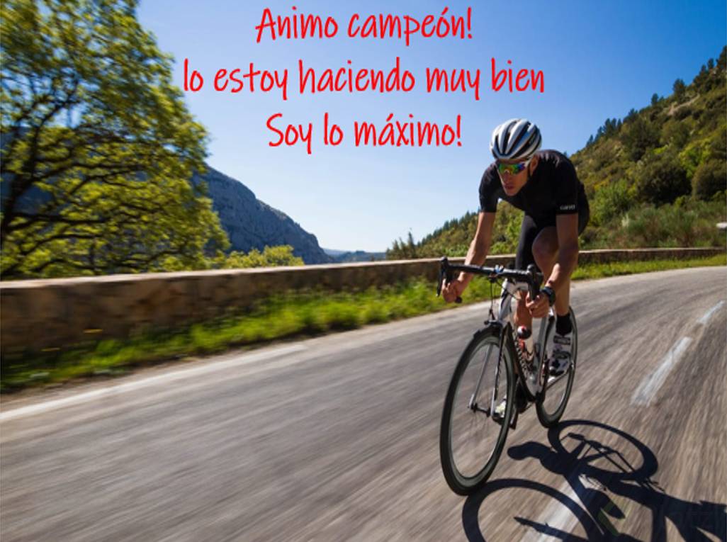 Imagen4.png