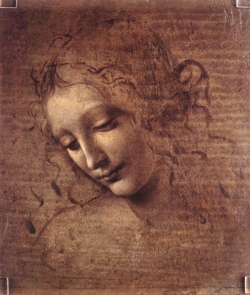 L-Leonardo-da-Vinci-c.1508-copy.jpg