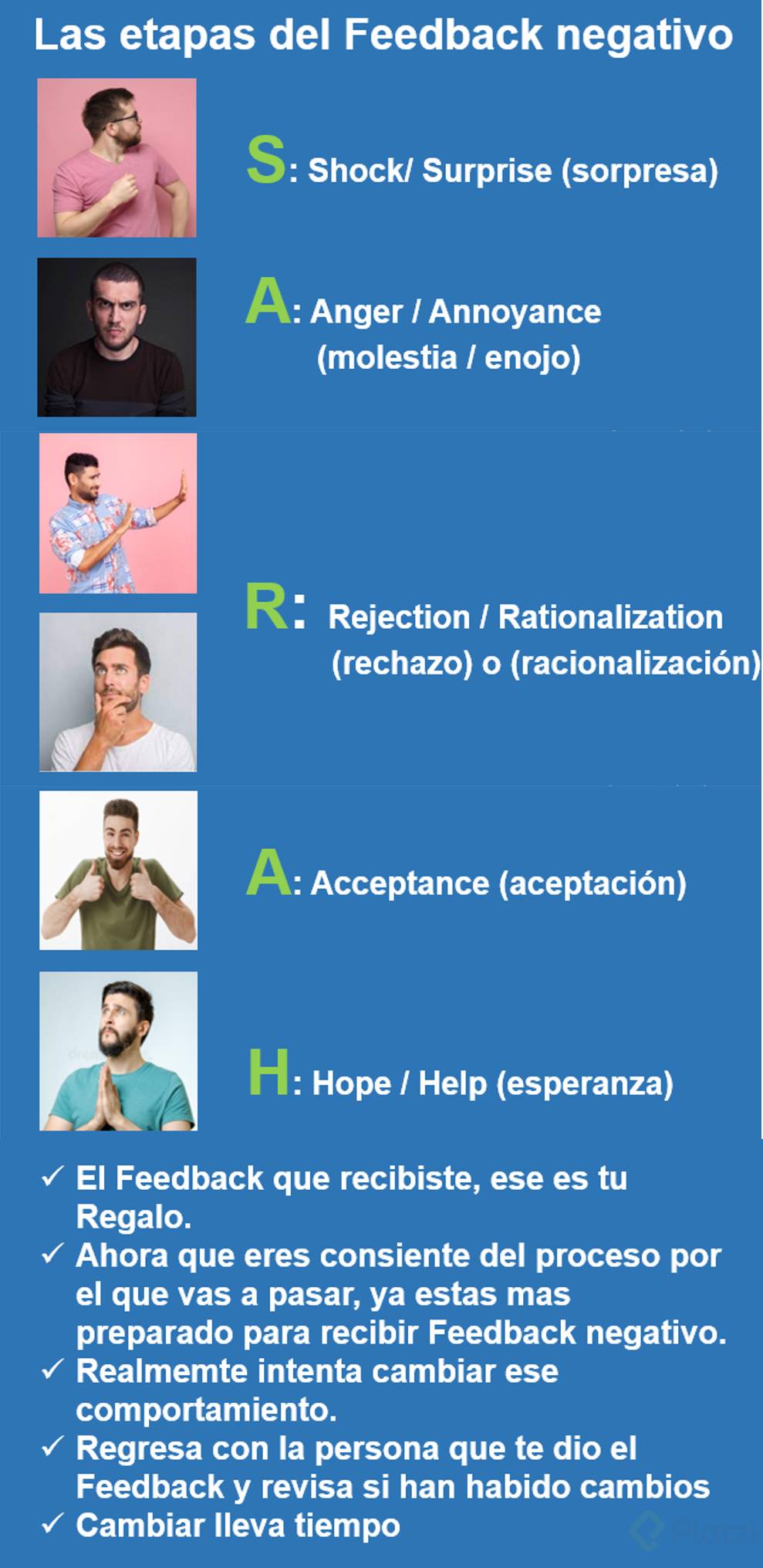 Las etapas de el Feedback negativo.png