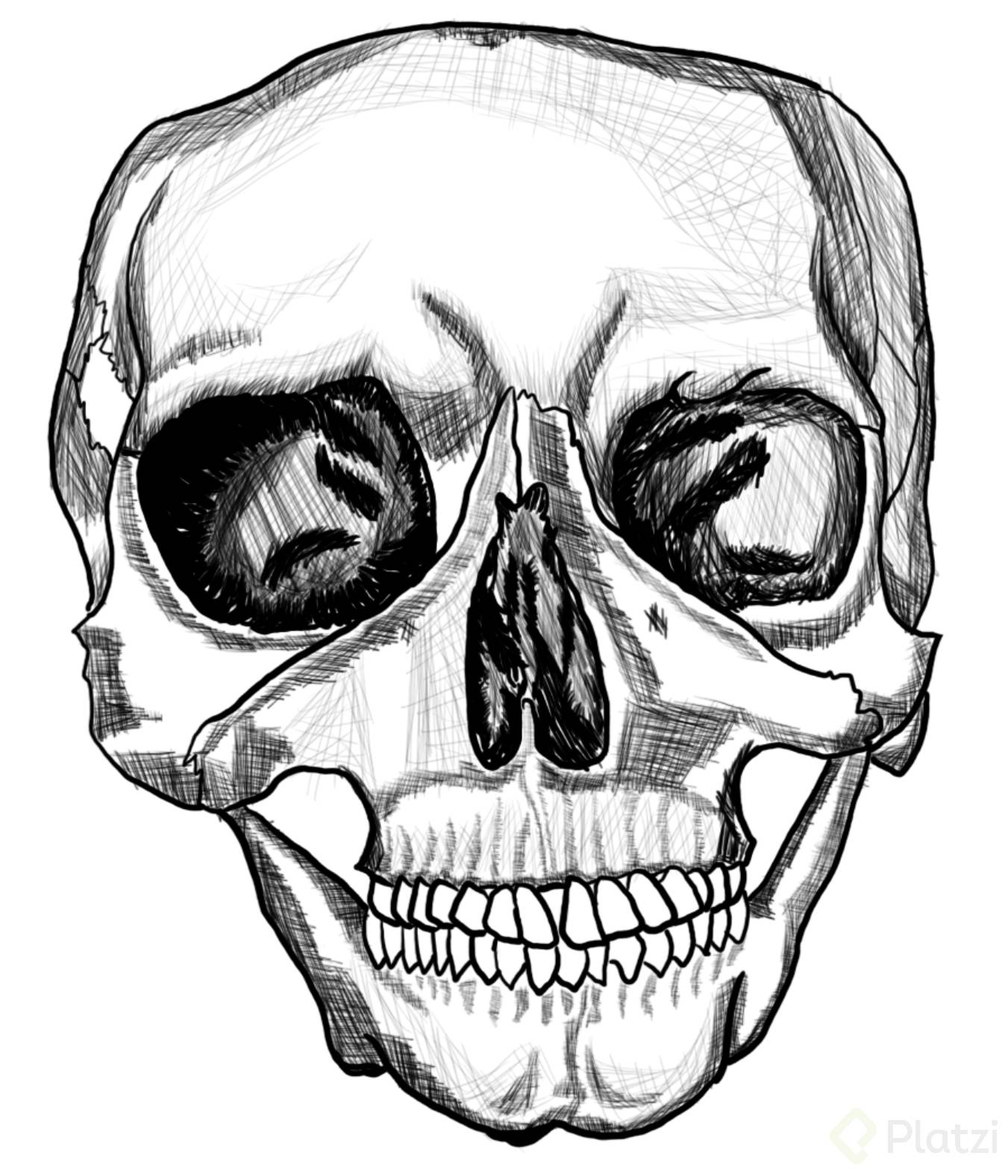 Lineas.PNG
