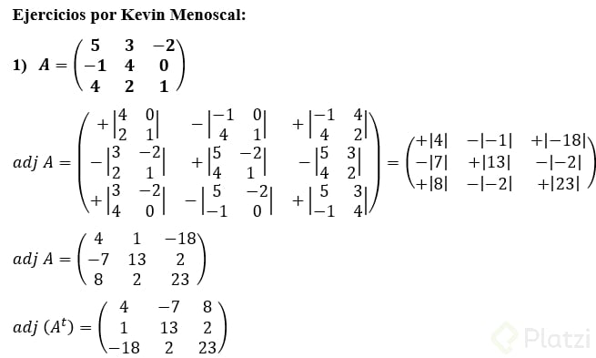 Matris Adjunta por Kevin Menoscal p1.png
