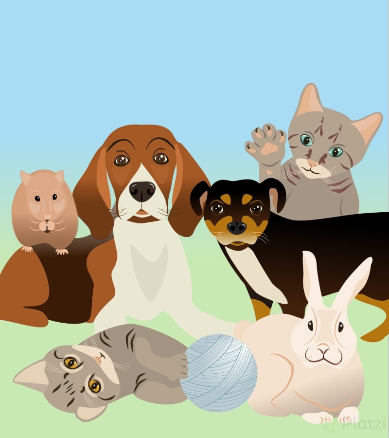 Mesa de trabajo 2-100.jpg