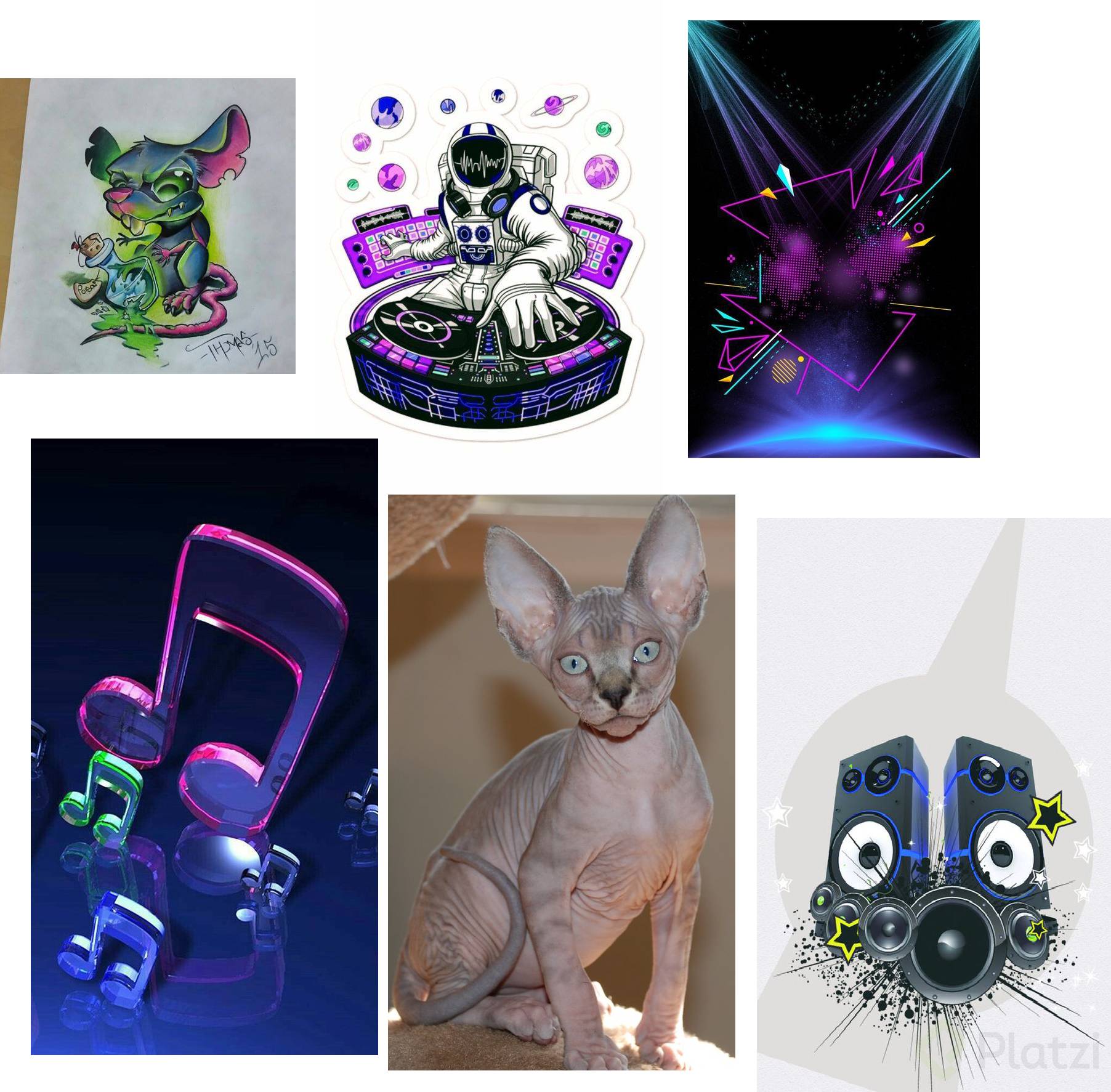 Moodboard gato.jpg
