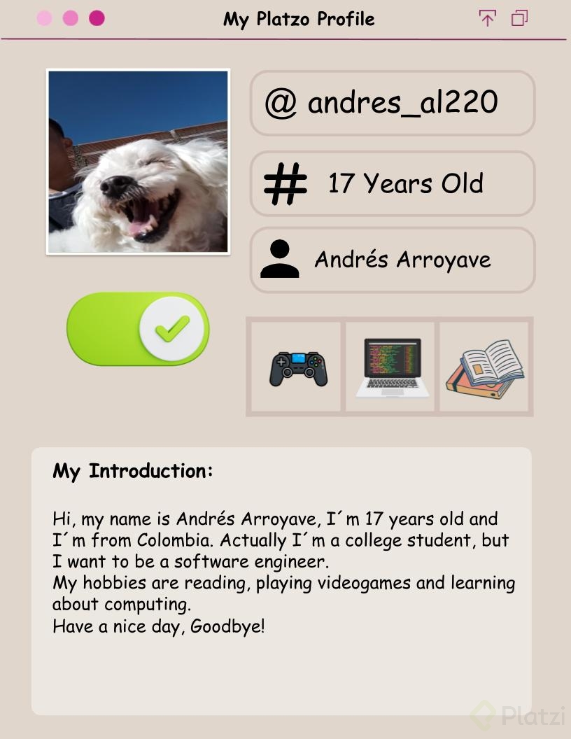 My Platzo Profile.jpg