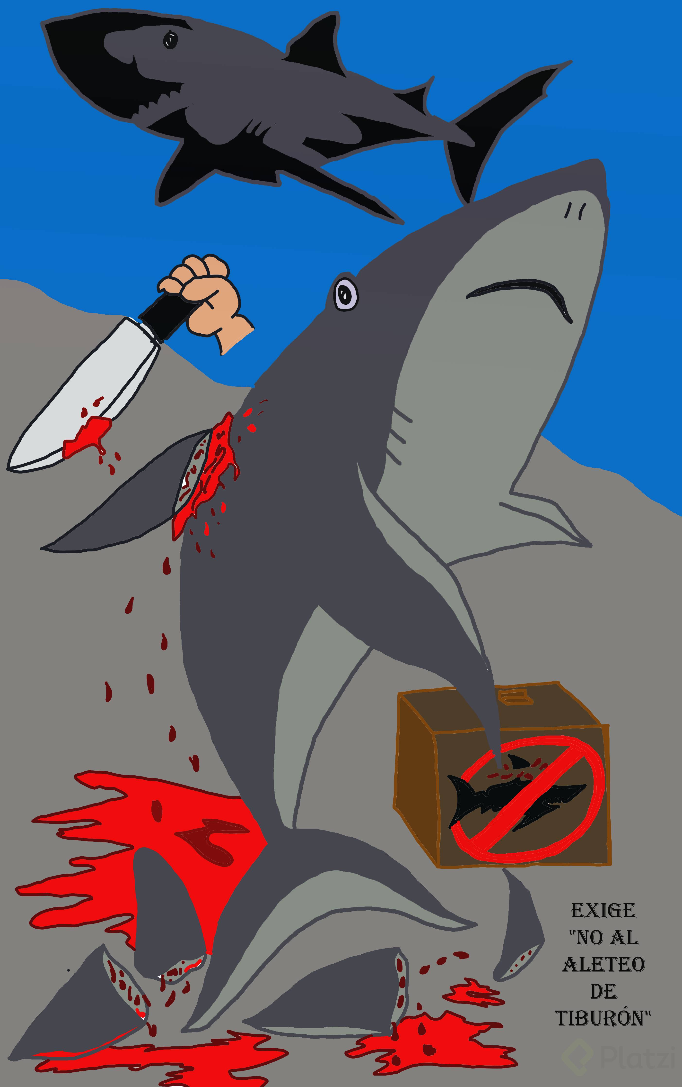No al aleteo de tiburón.png