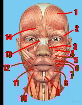 Opera Captura de pantalla_2022-11-27_193133_www.google.com.png