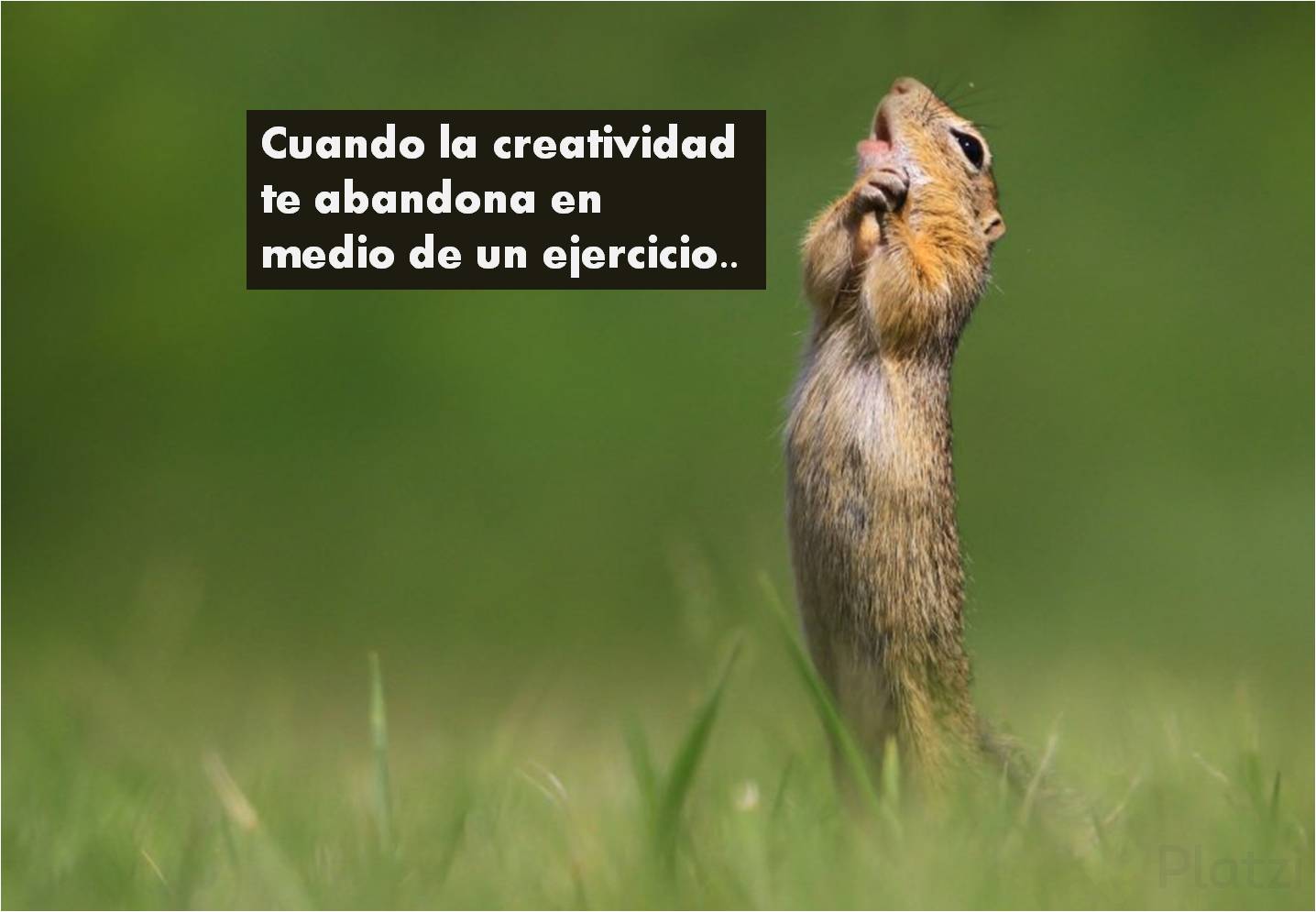 PLATZI.png
