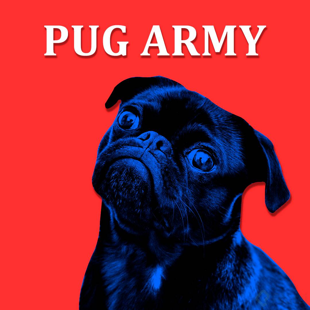 PUG ARMY.png