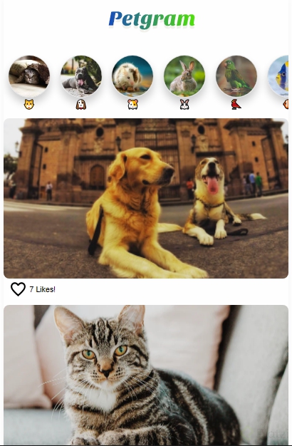 Petgram.PNG