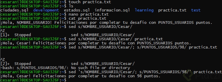 Practica Linea de comando, Comandos de texto.png