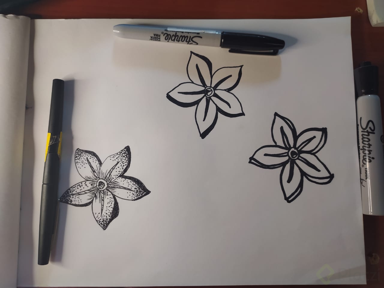Practica ilustrar.jpg