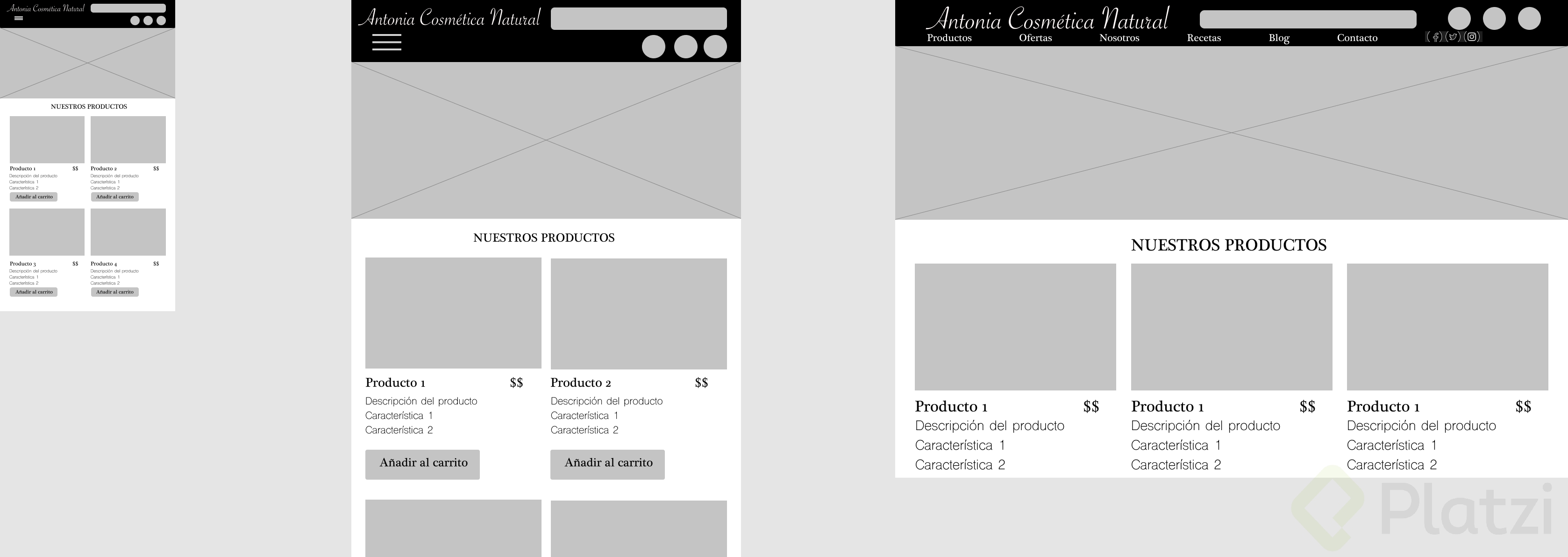 Responsive Design.png