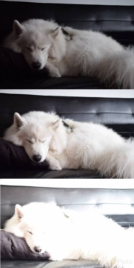 Reto 1 exposición.png