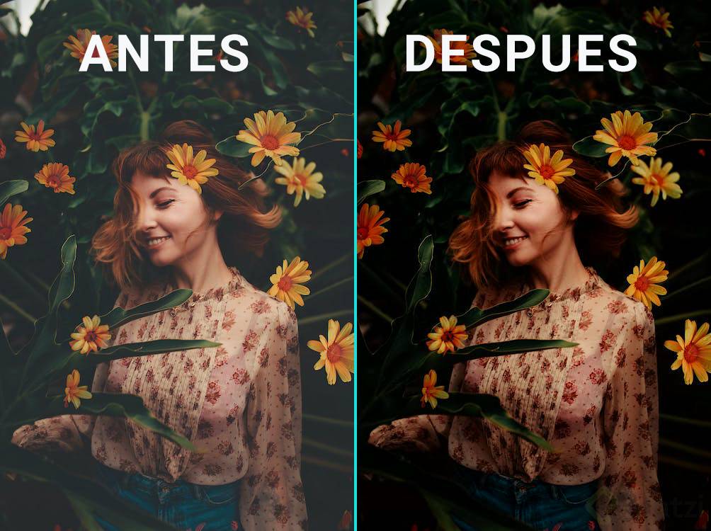 Retoque-photo-1848471.png