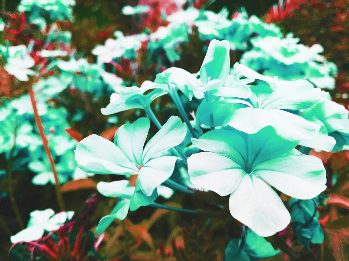 Screen Shot 2018-05-10 at 16.53.58.png