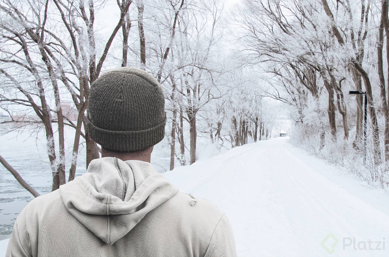 Screen Shot 2018-05-12 at 12.16.14.png