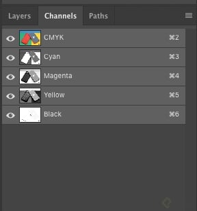 Screen Shot 2019-06-04 at 9.07.56 AM.png