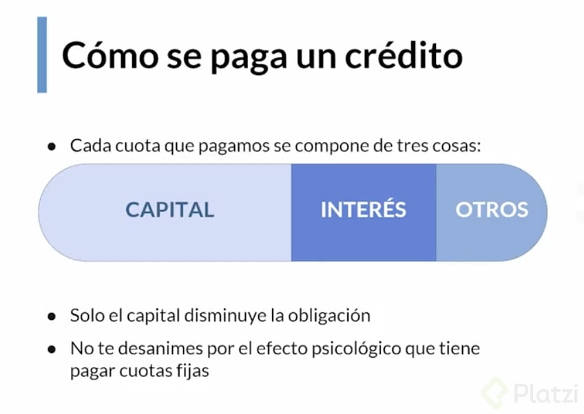 Screen Shot 2021-12-22 at 2.55.02 p.m..png