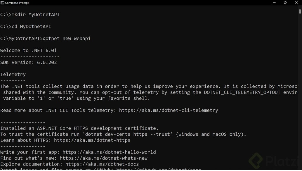 Ejecución-comandos-crear-API