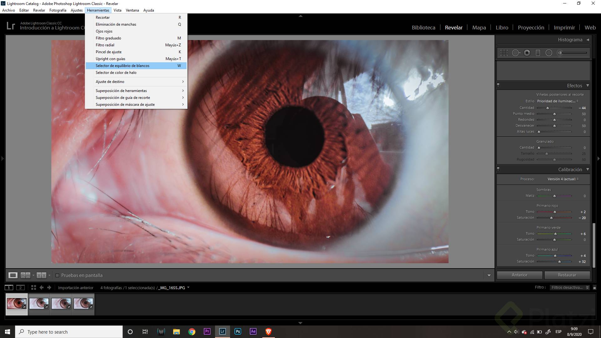 Screenshot (119).png