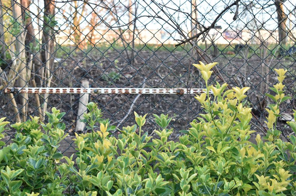 Screenshot 2020-03-24 at 18.58.37.png