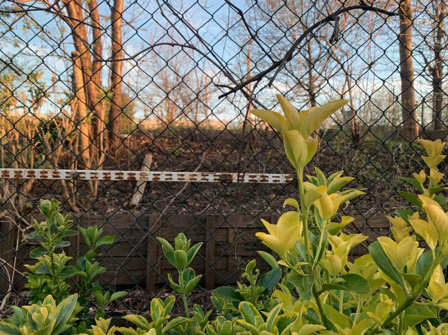 Screenshot 2020-03-24 at 18.58.52.png