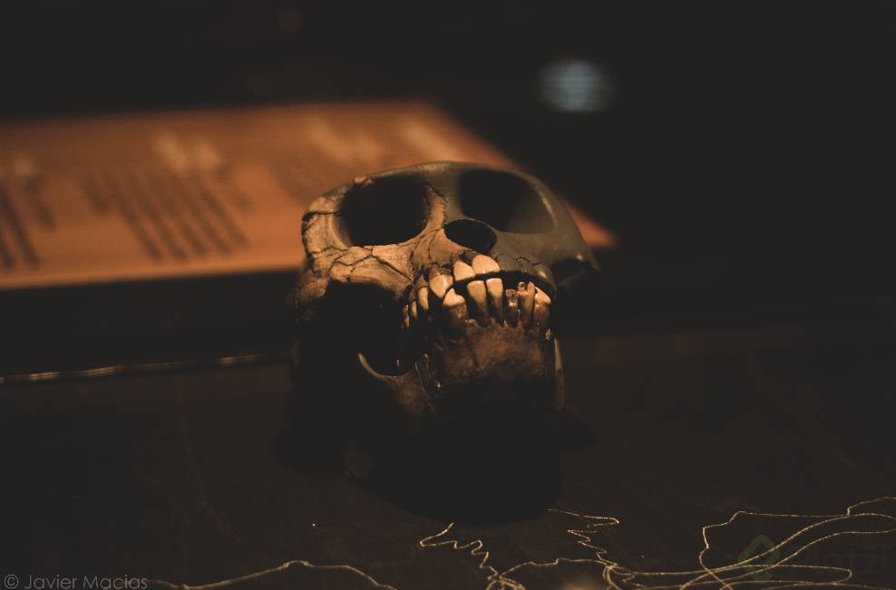 Screenshot 2020-04-14 at 14.23.28.png