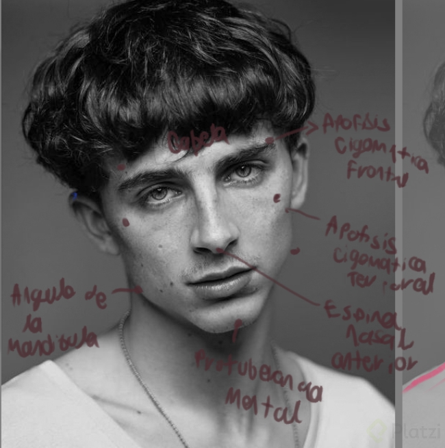 Screenshot 2021-05-19 122207.png