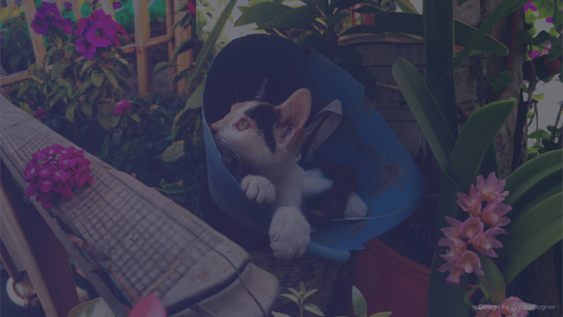 Screenshot 2023-07-29 00-06-00.png